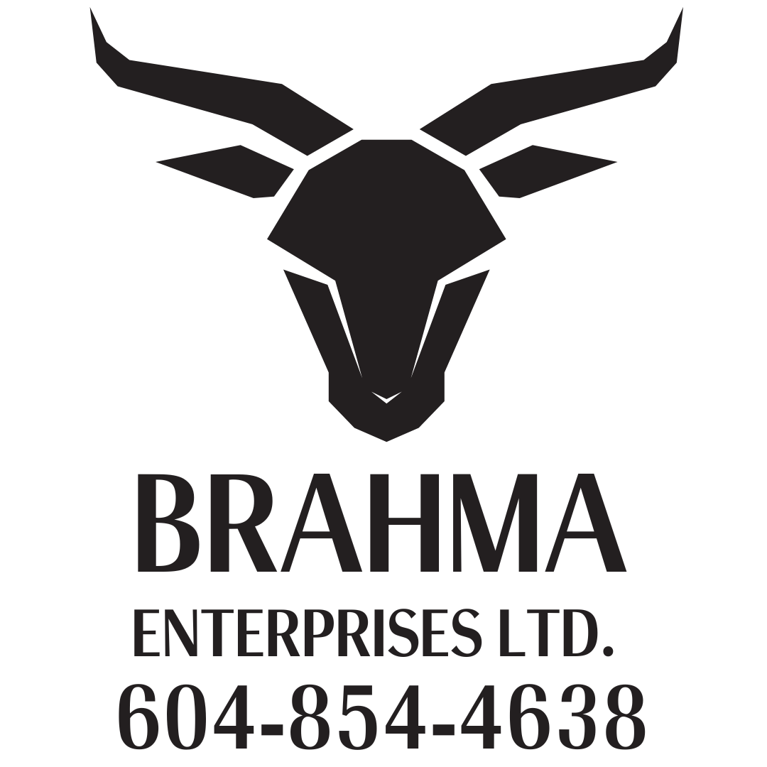 Brahma_2.png