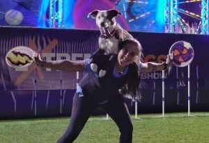 7ExtremeDogs1.jpg