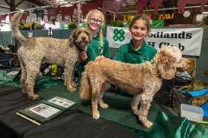 Agrifair2024WEB.jpg
