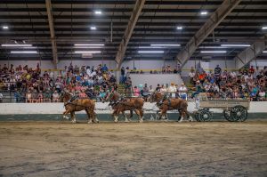 Agrifair2024WEB16.jpg