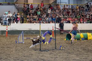 Agrifair2024WEB55616.jpg