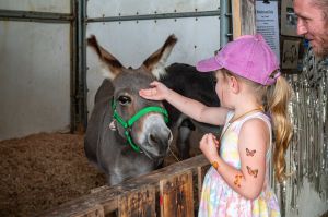 Agrifair2024WEB62964.jpg