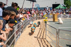 Agrifair2024WEB65250.jpg