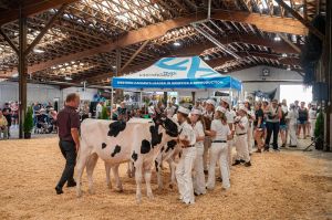 Agrifair2024WEB7.jpg